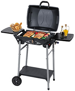 Kohlegrill oder Gasgrill im Reimo-Shop kaufen